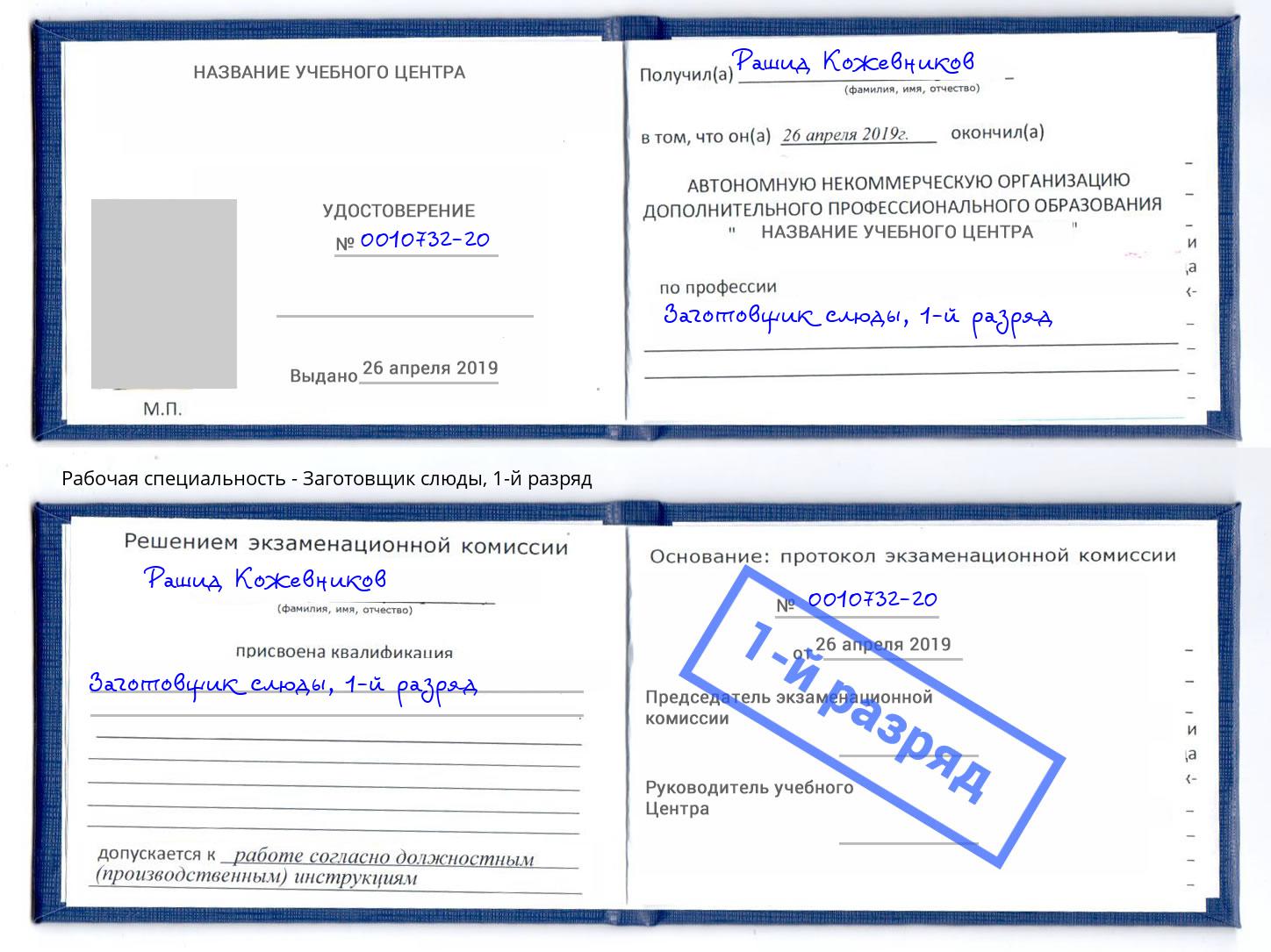 корочка 1-й разряд Заготовщик слюды Сибай